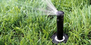 Spray Irrigation for Lawns
