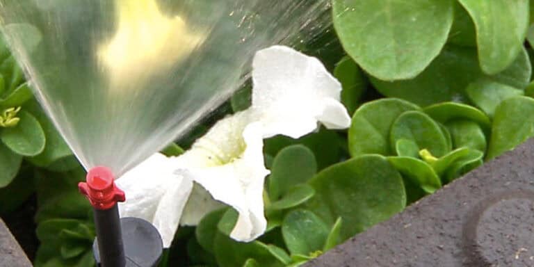 Micro Irrigation in Gardens