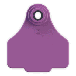 Irrigation Valve Marker Tag (Leader Products Small Cow Tag, Size 2) image