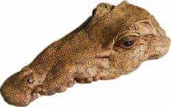 Floating Lurking Crocodile Head (35cm) image