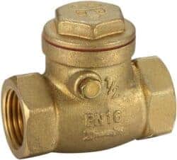 Brass Swing Check Valves image