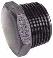 Hansen Poly Plugs image